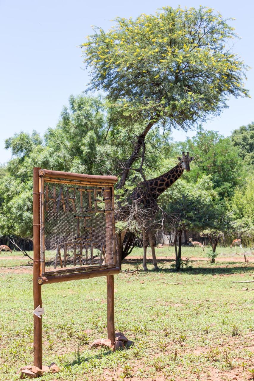Harties Is Africa Safari Lodge Kosmos Bagian luar foto